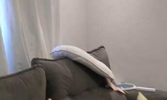 Imagem 2: Sobrado, Gopoúva - Guarulhos