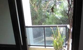 Imagem 4: Locação Apartamento Sao Paulo Vila Clementino Ref: 24524