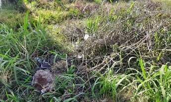 Imagem 5: LOTE 430 METROS JARDIM PATRÍCIA