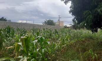 Imagem 4: Terreno gaveta no Cuca Fresca 1000 Metros