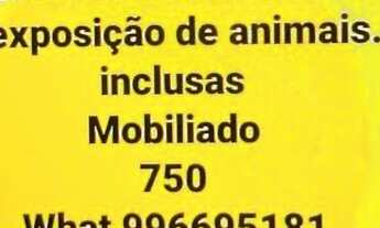 Imagem 1: Kit net mobiliado cordeiro