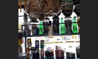 Imagem 6: Barraca de zinco