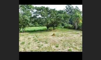 Imagem 6: Gravataí Sítio Frente Asfaltado - 3200 metros