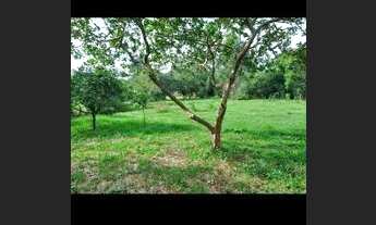 Imagem 3: Gravataí Sítio Frente Asfaltado - 3200 metros