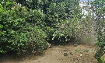 Imagem 4: Vendo pequeno sítio em Santo Antônio de Jesus