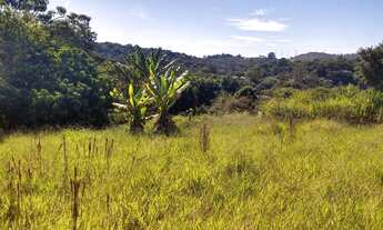 Imagem 6: Chácara em mogi