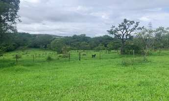 Imagem 4: Alugo pasto para gados e cavalos