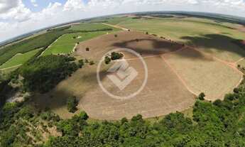 Imagem 6: Fazenda 3 Rosas codigo: 162076