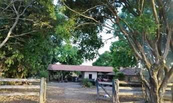 Imagem 2: FAZENDA 103 ALQ EM COLINAS DO SUL - GO