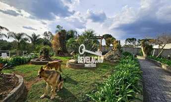 Imagem 6: Excelente chácara com piscina em São José dos Pinhais
