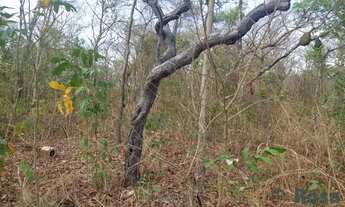 Imagem 3: Terreno para venda, Distrito da Guia, Cuiabá