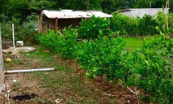 Imagem 3: Chácara proximo Aragoiânia