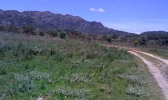 Imagem 3: Chácaras com 5.000 a 30.000m²