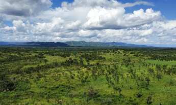 Imagem 4: Excelente Oportunidade Terreno no Terra Selvagem