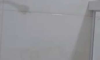 Imagem 9: Aluguel - Ap. - 2/4 c/ dep. - Vila-Laura