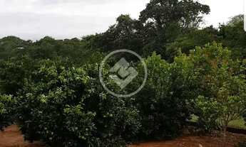 Imagem 5: REF: OFFICE2240 - Chácara com 3 Hectares em Cristinópolis, Goiás. codigo: 49239