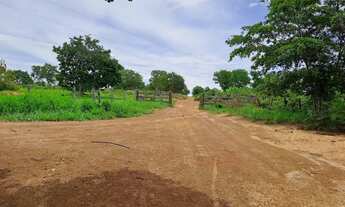 Imagem 3: Ótima fazenda de 302 hectares, dupla aptidão, terras de cultura margeada por ribeirão - Ri