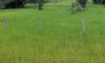 Imagem 7: Fazenda a venda em Britânia - Goiás