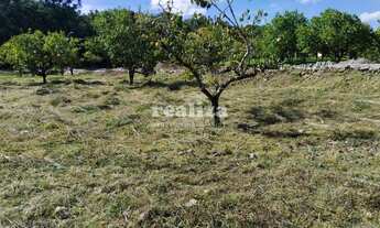 Imagem 2: TERRENO EM GRAMADO