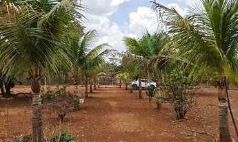 Imagem: Chácara 5.000M2 na Região de Glaucilândia