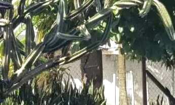 Imagem 4: Imóvel para venda tem 242 metros quadrados com 4 quartos em Pechincha - Rio de Janeiro - R