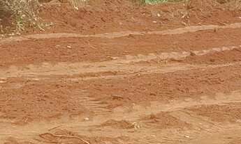 Imagem 2: Lotes no asfalto em ótima localização