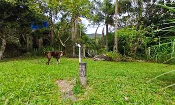 Imagem 3: Terreno Terreno Florianópolis - SC - Ratones