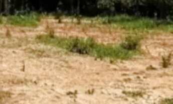 Imagem 1: Terreno barato pra construir em Ibiúna