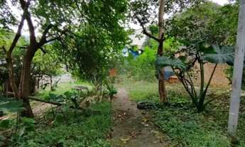 Imagem 3: Terreno ao lado do Metrô Guilhermina