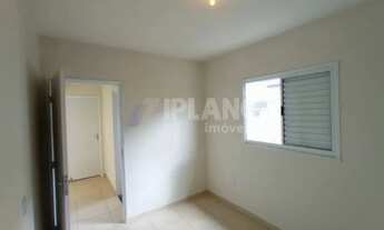 Imagem 7: Locação de Casas / Padrão na cidade de São Carlos