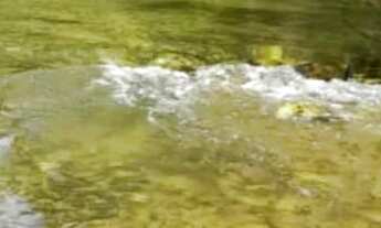 Imagem 2: CHÁCARA COXIPÓ DO OURO