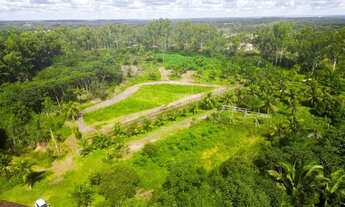 Imagem 5: Vendo uma chacará em cajupary com 10ha - (100.000M²