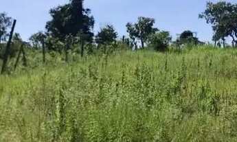 Imagem 6: Chácara com rio oportunidade 105 mil