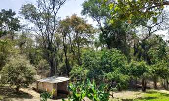 Imagem 7: Chácara 1200 metros