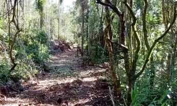 Imagem 2: Área de terra bairro Joaneta, Picada Café.RS REF: 434