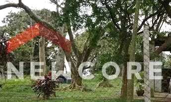 Imagem 6: Lote em Avenida São Camilo - Chácara São João - Carapicuíba/SP