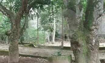 Imagem 2: Sítio com 4 quartos à venda em Rio Do Ouro - RJ