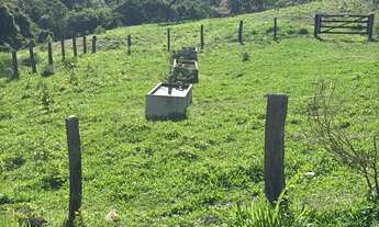 Imagem 5: Fazenda 379 alqueires 45.000 o alq