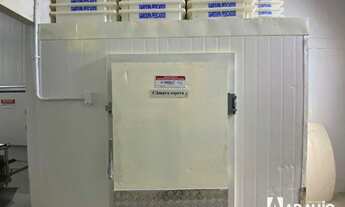 Imagem 7: Frigorifico de pescados para Alugar no bairro Murta