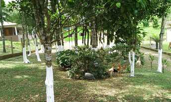 Imagem 3: Chácara 3 mil metros