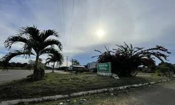 Imagem 5: RESIDÊNCIAL TROPICAL