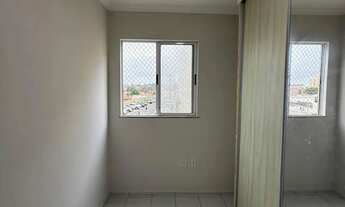 Imagem 6: PALMEIRAS 3 | MARIO ANDREAZZA