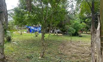 Imagem 6: Vendo sítio Chácara com venda por R$300.000