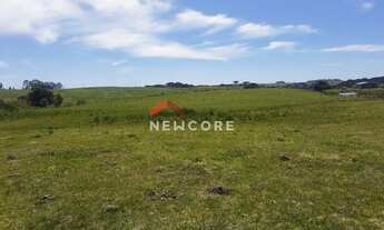 Imagem: Fazenda em Lageado Grande - Tainhas - São