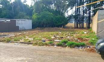 Imagem: Lotes TRIUNFO (Dois lotes