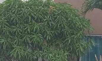 Imagem 2: CONDOMÍNIO PORTAL DO ATLÂNTICO [25605