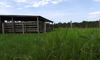 Imagem: Fazenda com 90 hectares na vila Equador/RR