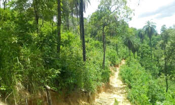 Imagem 4: Excelente oportunidade terreno rural de 13 hectares, Jaboticatubas(Temos varias opções