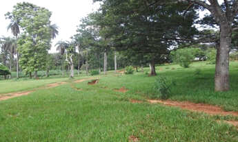 Imagem 6: Linda chácara de 20 mil metros, Jaboticatubas (Temos mais opções