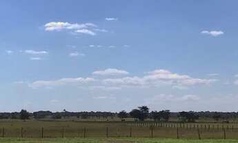 Imagem: 202 Alqueires em Paraúna Go